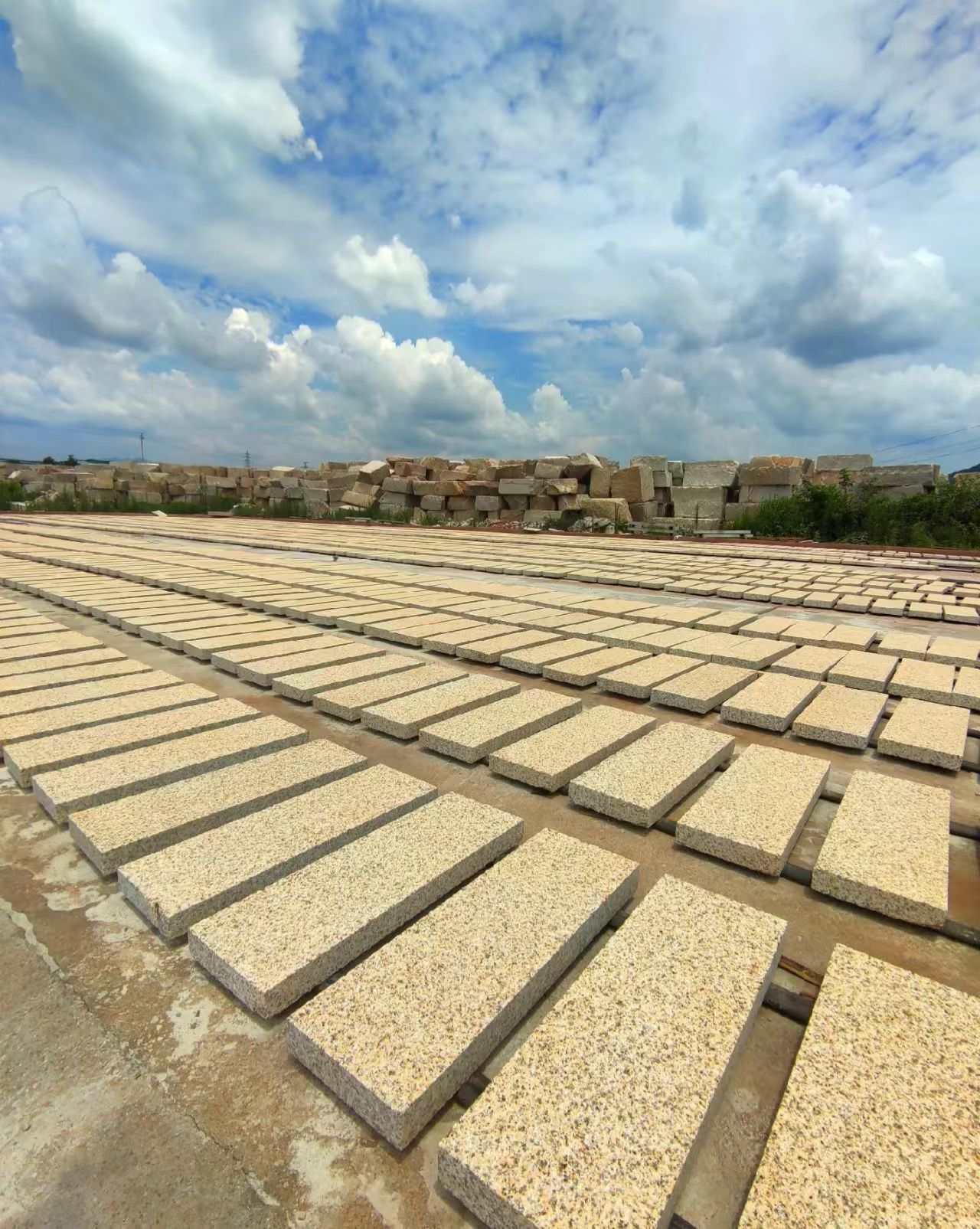 黄石 黄金麻花岗岩荔枝面地铺石防护中